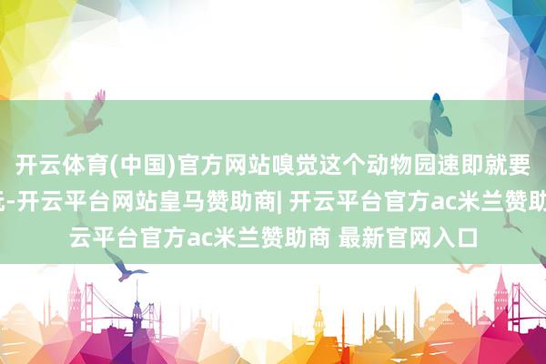 开云体育(中国)官方网站嗅觉这个动物园速即就要倒闭了”“不好玩-开云平台网站皇马赞助商| 开云平台官方ac米兰赞助商 最新官网入口