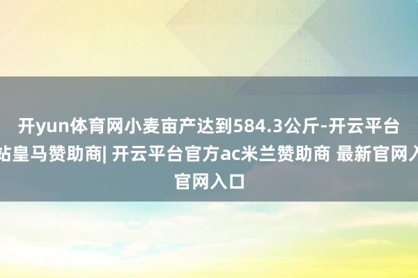 开yun体育网小麦亩产达到584.3公斤-开云平台网站皇马赞助商| 开云平台官方ac米兰赞助商 最新官网入口