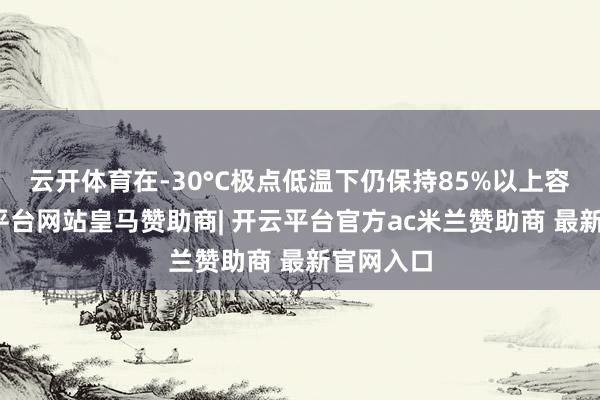 云开体育在-30°C极点低温下仍保持85%以上容量-开云平台网站皇马赞助商| 开云平台官方ac米兰赞助商 最新官网入口